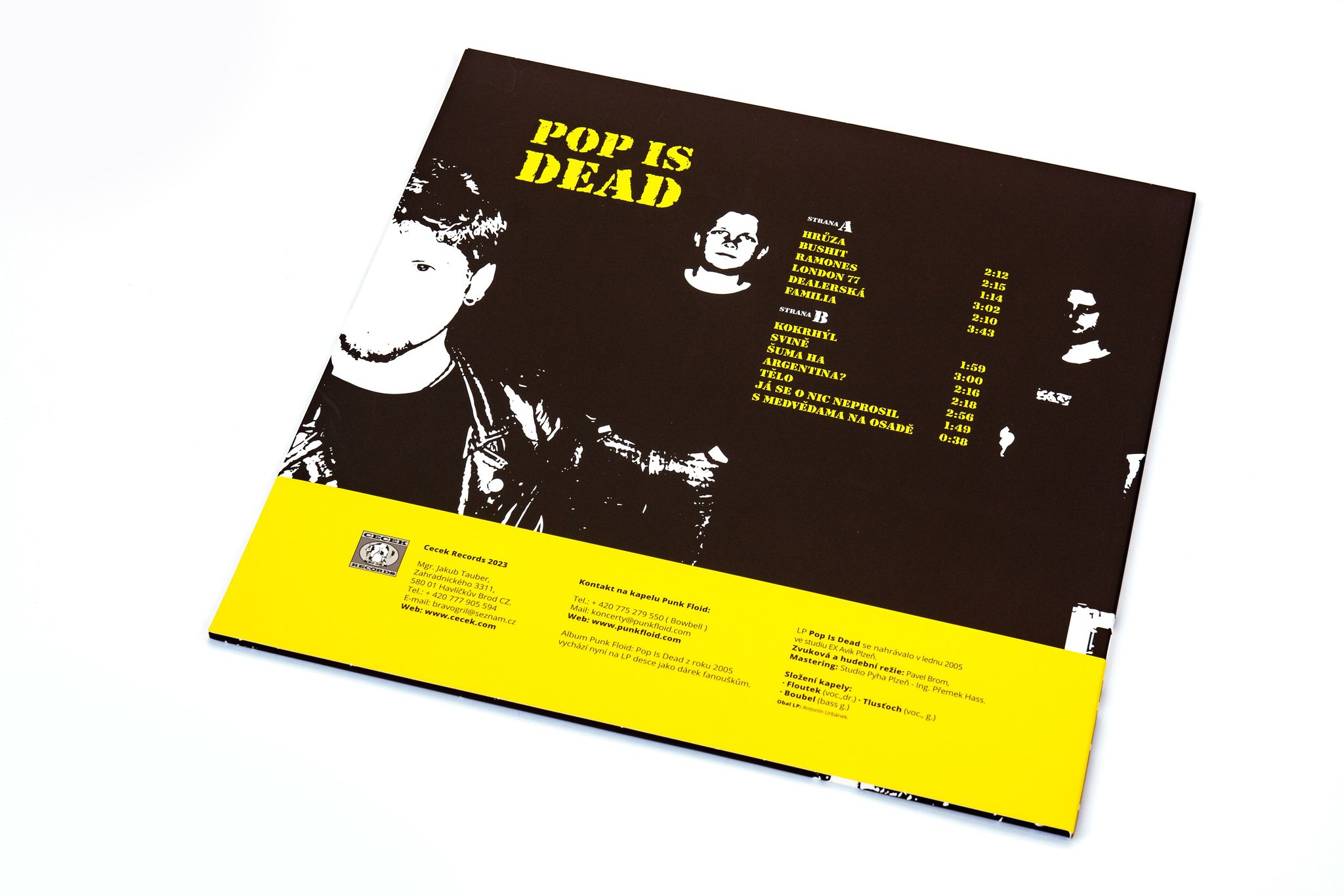 Punk Floid: Pop is dead
